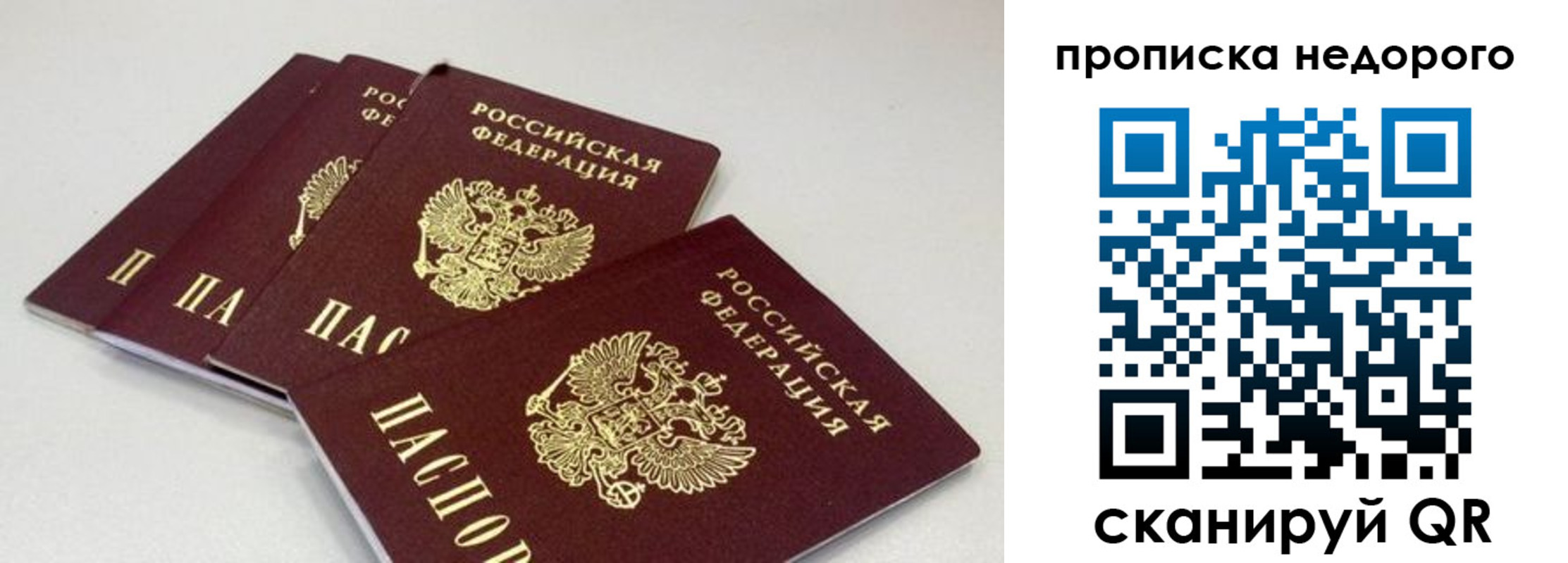 прописка штамп в Котовске